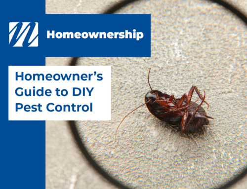 Homeowner’s Guide to DIY Pest Control