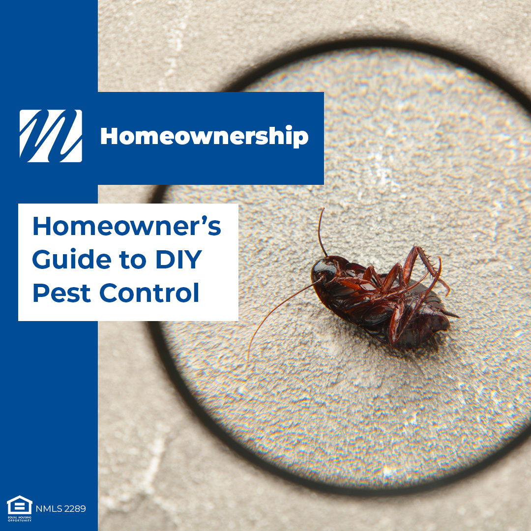 Tackling Tiny Trespassers: A Homeowner's Guide to DIY Pest Control